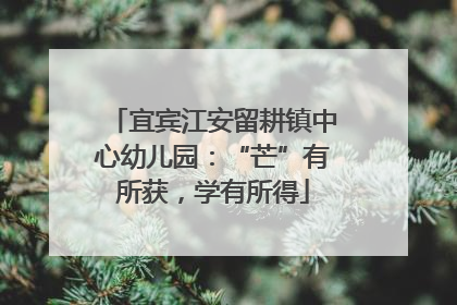宜宾江安留耕镇中心幼儿园：“芒”有所获，学有所得