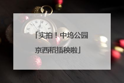 实拍！中坞公园京西稻插秧啦