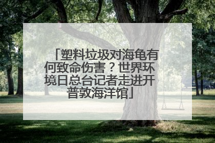 塑料垃圾对海龟有何致命伤害？世界环境日总台记者走进开普敦海洋馆
