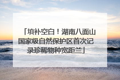 填补空白！湖南八面山国家级自然保护区首次记录珍稀物种宽距兰