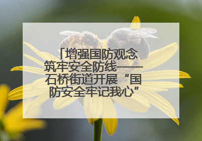 增强国防观念 筑牢安全防线——石桥街道开展“国防安全牢记我心”主题宣传活动