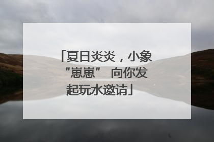夏日炎炎，小象“崽崽” 向你发起玩水邀请