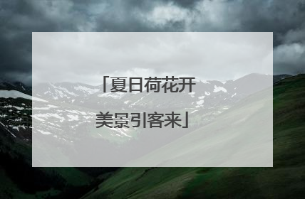 夏日荷花开 美景引客来
