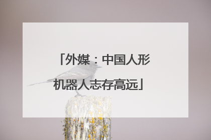 外媒：中国人形机器人志存高远