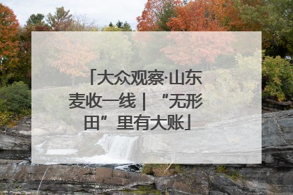 大众观察·山东麦收一线｜“无形田”里有大账