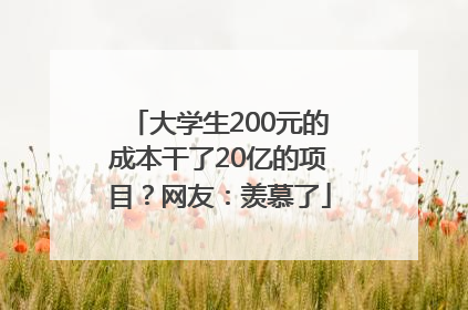 大学生200元的成本干了20亿的项目？网友：羡慕了
