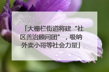 大栅栏街道将建“社区善治顾问团”，吸纳外卖小哥等社会力量