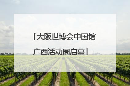 大阪世博会中国馆广西活动周启幕