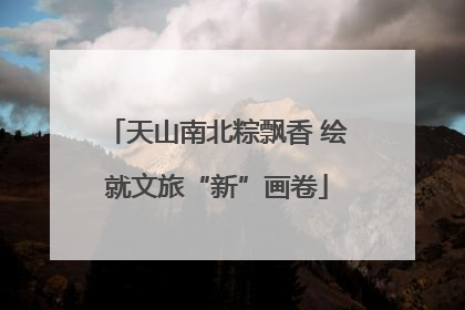 天山南北粽飘香 绘就文旅“新”画卷