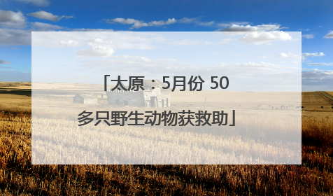 太原：5月份 50多只野生动物获救助