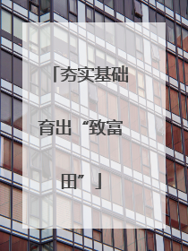 夯实基础育出“致富田”