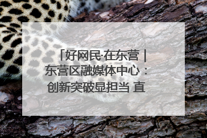 好网民·在东营｜东营区融媒体中心：创新突破显担当 直播赋能谱华章