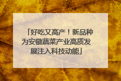 好吃又高产！新品种为安徽蔬菜产业高质发展注入科技动能