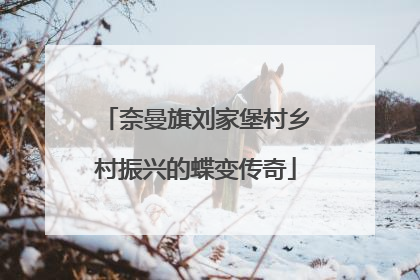 奈曼旗刘家堡村乡村振兴的蝶变传奇