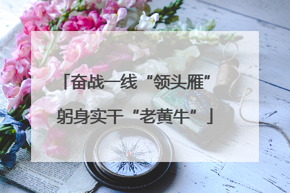 奋战一线“领头雁” 躬身实干“老黄牛”