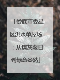 娄底市娄星区洪水单屋场：从煤灰蔽日到绿意盎然
