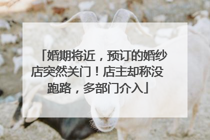婚期将近，预订的婚纱店突然关门！店主却称没跑路，多部门介入