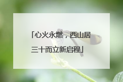 心火永燃，西山居三十而立新启程