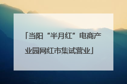 当阳“半月红”电商产业园网红市集试营业