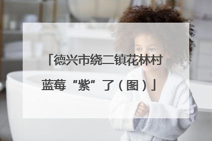 德兴市绕二镇花林村蓝莓“紫”了（图）