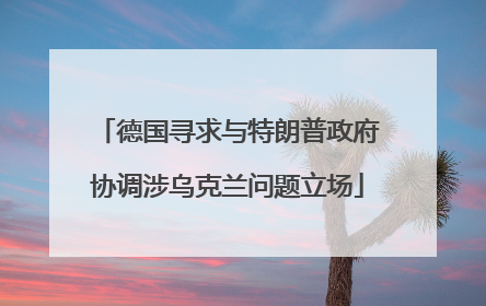 德国寻求与特朗普政府协调涉乌克兰问题立场