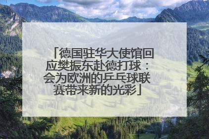 德国驻华大使馆回应樊振东赴德打球：会为欧洲的乒乓球联赛带来新的光彩