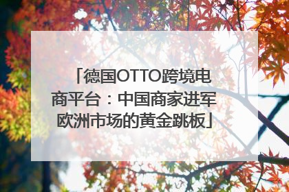 德国OTTO跨境电商平台：中国商家进军欧洲市场的黄金跳板
