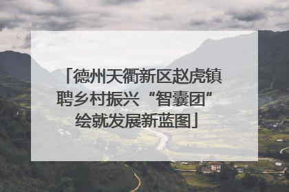 德州天衢新区赵虎镇聘乡村振兴“智囊团” 绘就发展新蓝图