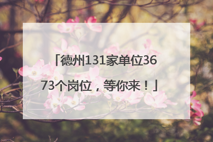 德州131家单位3673个岗位，等你来！