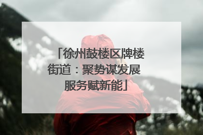 徐州鼓楼区牌楼街道：聚势谋发展 服务赋新能