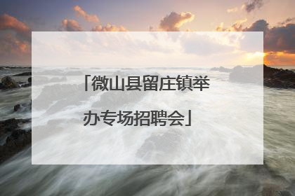 微山县留庄镇举办专场招聘会