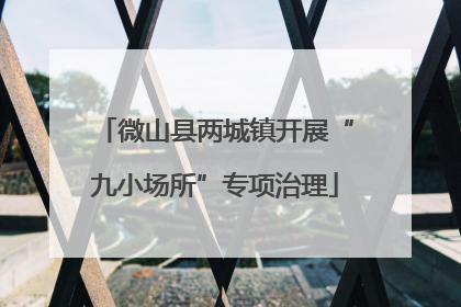 微山县两城镇开展“九小场所”专项治理