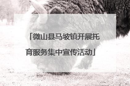 微山县马坡镇开展托育服务集中宣传活动