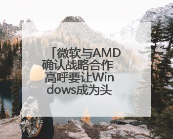 微软与AMD确认战略合作 高呼要让Windows成为头号游戏平台