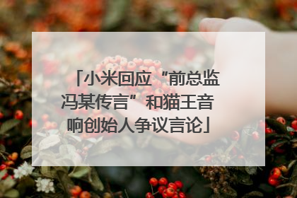 小米回应“前总监冯某传言”和猫王音响创始人争议言论