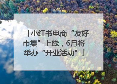 小红书电商“友好市集”上线，6月将举办“开业活动”