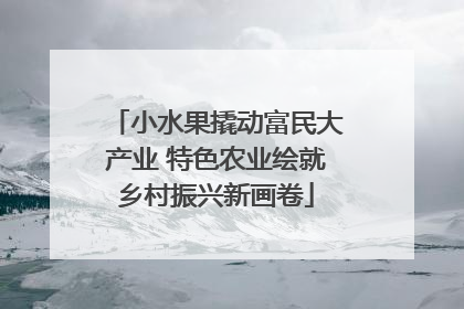 小水果撬动富民大产业 特色农业绘就乡村振兴新画卷