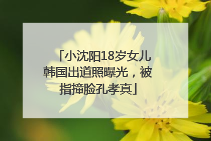 小沈阳18岁女儿韩国出道照曝光，被指撞脸孔孝真