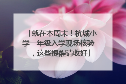 就在本周末！杭城小学一年级入学现场核验，这些提醒请收好