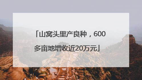 山窝头里产良种，600多亩地增收近20万元