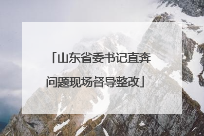 山东省委书记直奔问题现场督导整改