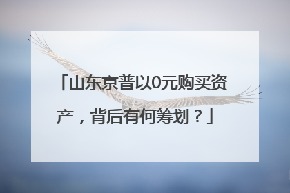 山东京普以0元购买资产，背后有何筹划？