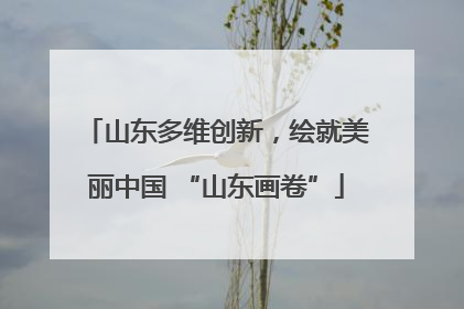 山东多维创新，绘就美丽中国 “山东画卷”