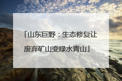 山东巨野：生态修复让废弃矿山变绿水青山