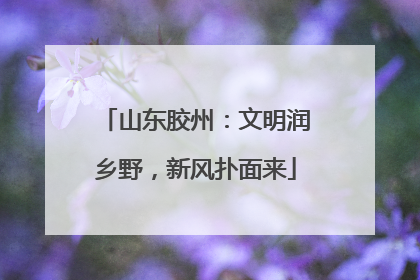 山东胶州：文明润乡野，新风扑面来