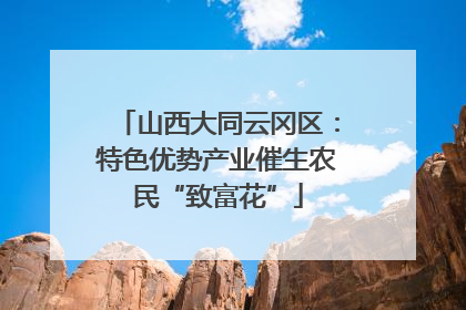 山西大同云冈区：特色优势产业催生农民“致富花”