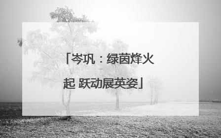 岑巩：绿茵烽火起 跃动展英姿