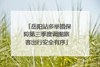岳阳站多举措保障第三季度调图旅客出行安全有序