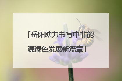岳阳助力书写中非能源绿色发展新篇章