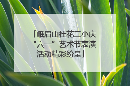 峨眉山桂花二小庆“六一”艺术节表演活动精彩纷呈